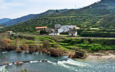 Territórios de baixa densidade com 40% do investimento empresarial do Portugal 2030