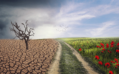 Conheça a “Adaptação às alterações climáticas através da política de coesão”