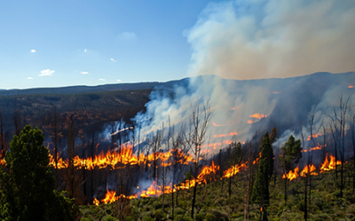Conferência FIREPOCTEP+ vai debater o problema dos incêndios rurais na Península Ibérica