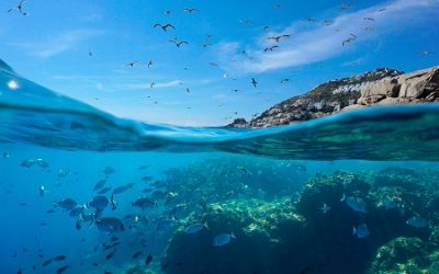 Interreg Next MED anuncia primeira convocatória de projetos com financiamento de 103,6 M€