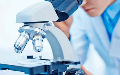 Candidaturas abertas ao Concurso “Science4Policy”