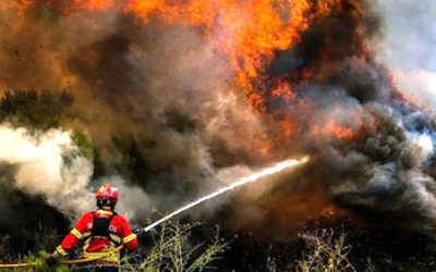 Novo projeto ‘FoRES’ vai prevenir propagação de incêndios florestais