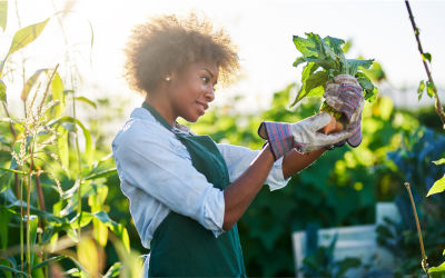 União Europeia apresenta relatório “Sustentabilidade e bem-estar no centro da autonomia estratégica aberta”