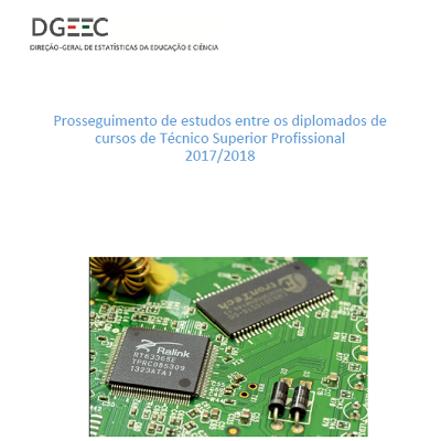 Imagem Capa Publicação DGEEC
