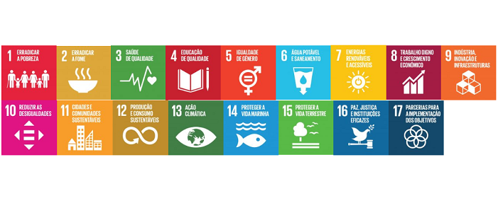 Imagem 17 Objetivos de Desenvolvimento Sustentável