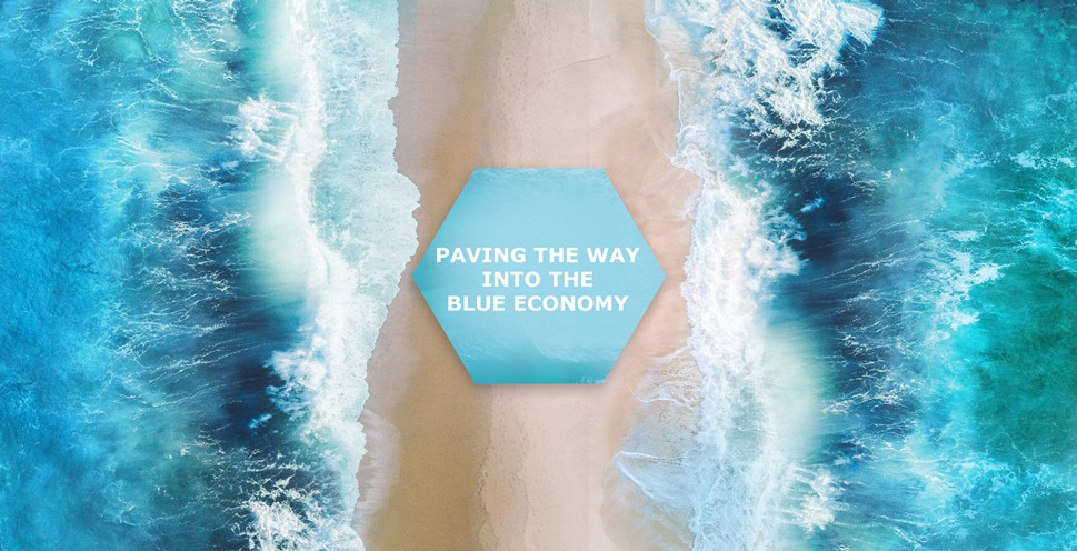 Imagem BlueInvest - Plataforma