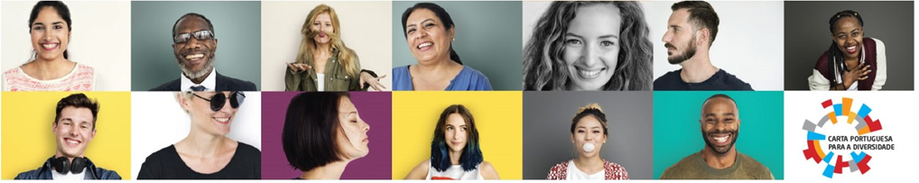 Imagem Carta Portuguesa para a Diversidade