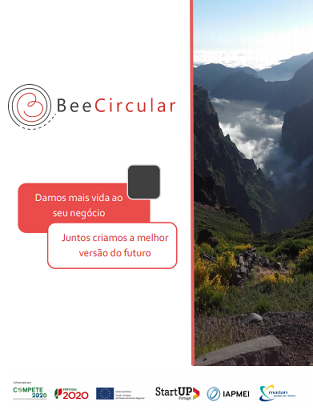 Imagem Contracapa Como Inovar na sua Empresa