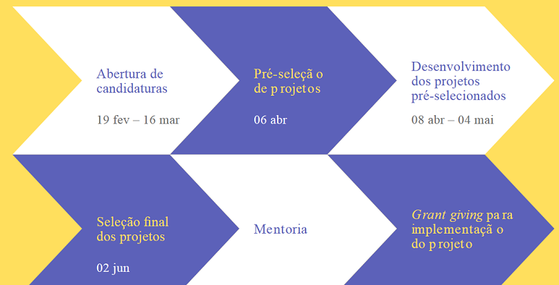 Imagem Cronologia Academias do Conhecimento