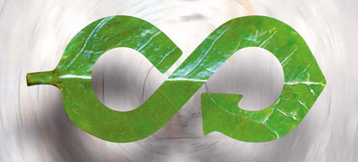 Imagem IEFP - Sustentabilidade