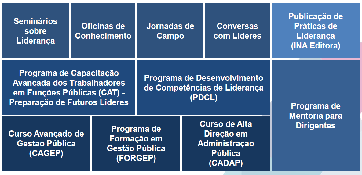 Imagem INA - Modelo de Atuação CDL