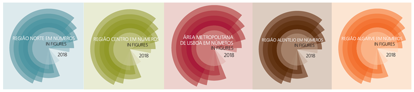 Imagem INE - 5 Regiões em Números 2018