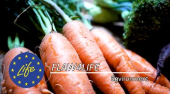 Imagem LIFE - Ambiente