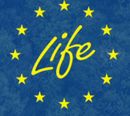 Imagem Logo LIFE