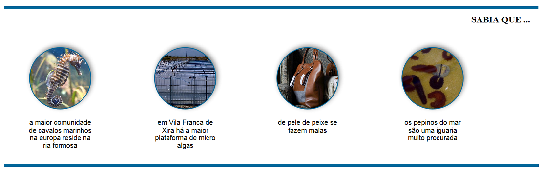 Imagem Mar 2020 - Sabia que