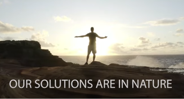Imagem Our solutions are in nature