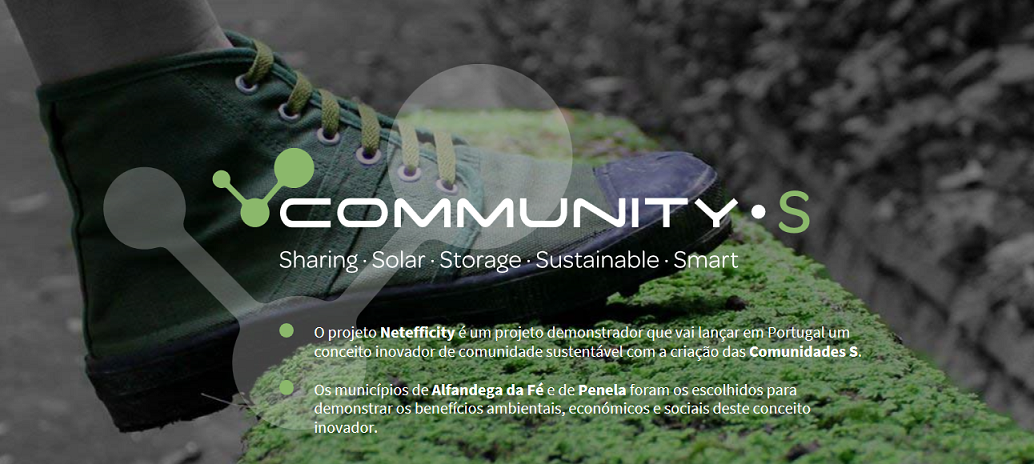 Imagem da homepage do NetEfficity