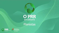 Imagem PRR em Debate - Florestas