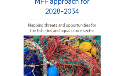 Navegando pela nova abordagem do QFP para 2028-2034. Mapeando ameaças e oportunidades para o setor da pesca e aquicultura