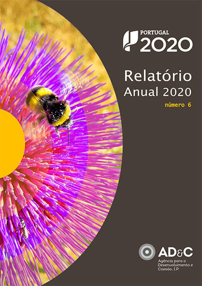 Imagem Capa Relatório Fundos UE 2019